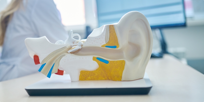 Quality Hearing Aid Center Blog